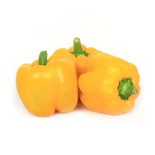 Baby Capsicums Yellow 250g Netherlands